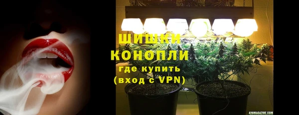 PSILOCYBIN Надым
