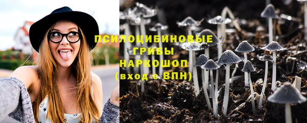 PSILOCYBIN Надым